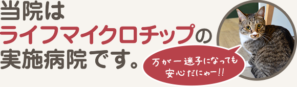 当院はマイクロチップの実施病院です。