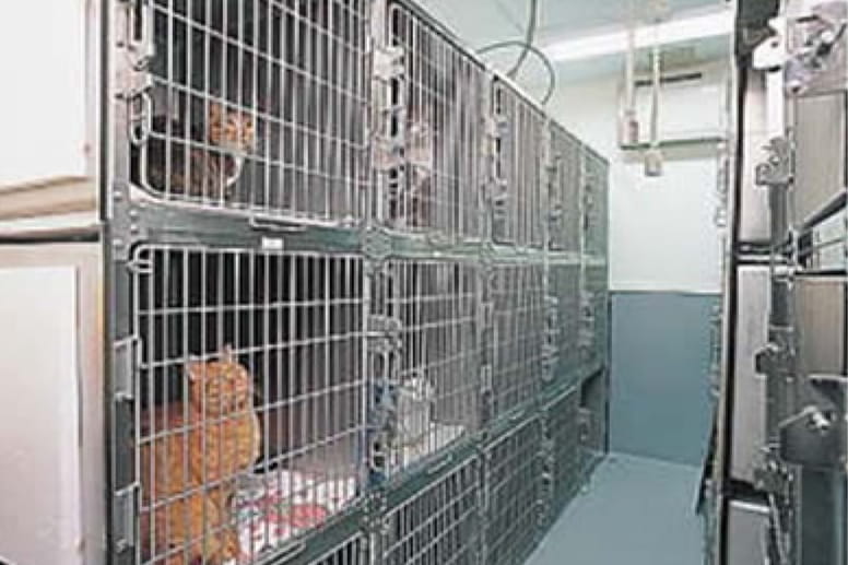 猫舎