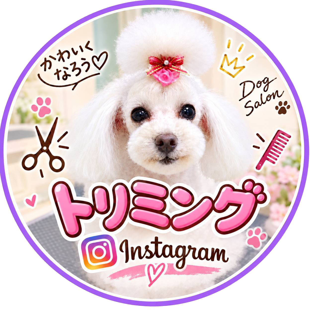 トリミング専用instagram
