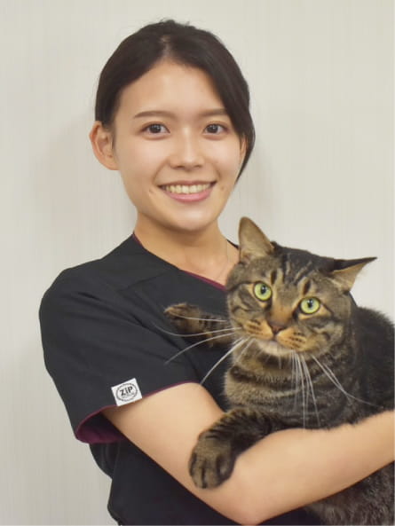 高羽素直